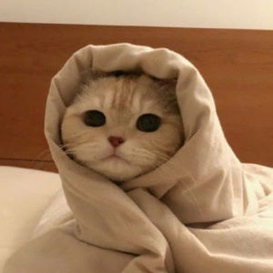 Meet your Posher, Mariahbessant